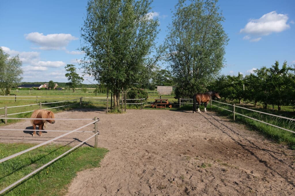 Impressie bij het profiel van Jet Menkveld