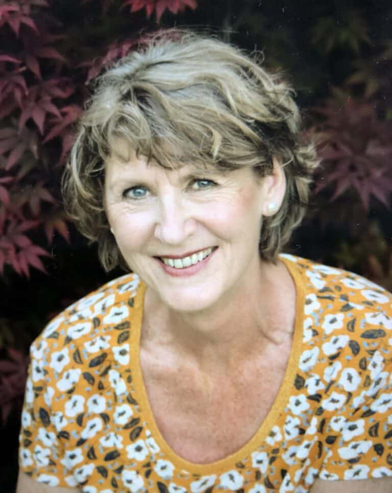 Yvon van der Meer, Energetisch healer