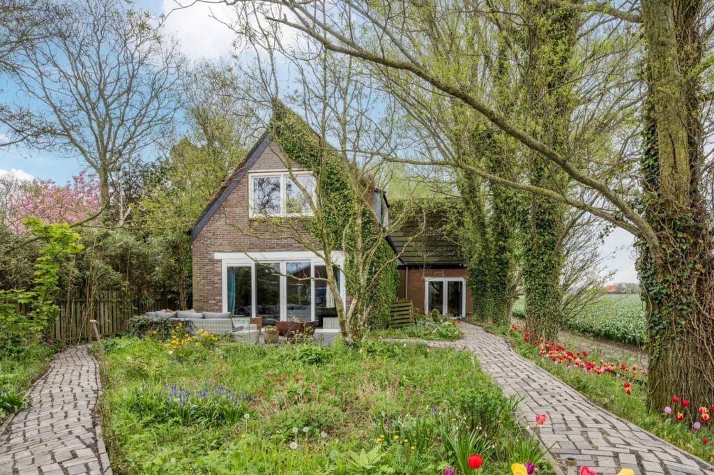 Impressie bij het profiel van Adike Viellevoye