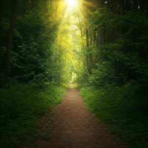 Energetisch therapeut Noord-Holland - Ontdek de kracht van energetische therapie