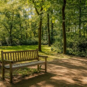 Kies bewust voor een holistisch coach in Tilburg