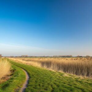 Ontdek de kracht van hypnotherapie in Flevoland