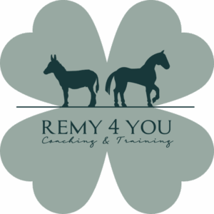 REMY4YOU Paardencoach Jacq van de Hoef