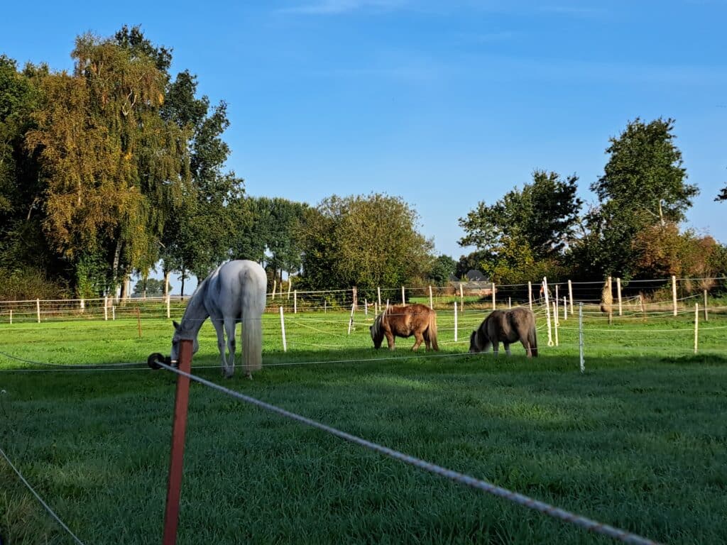 Impressie bij het profiel van Catry Rusting