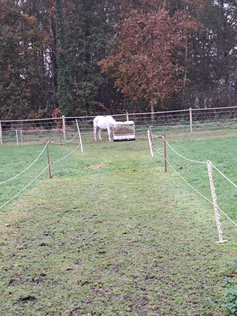 Impressie bij het profiel van Catry Rusting