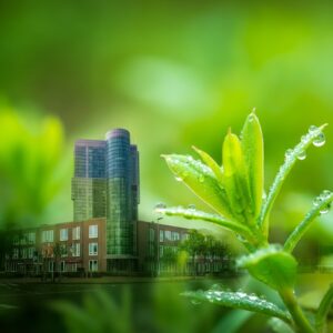 Een compositie van een groene, dauwfrisse plant gecombineerd met moderne stedelijke gebouwen, symbool voor harmonie tussen natuur en ontwikkeling in Hoofddorp.