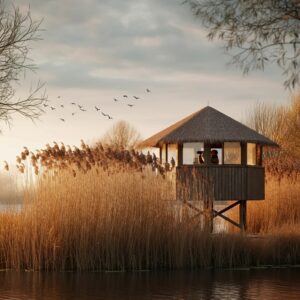 Afbeelding van een vogelobservatiehut in Lelystad, passend bij leefstijlcoaching en natuurherstel.