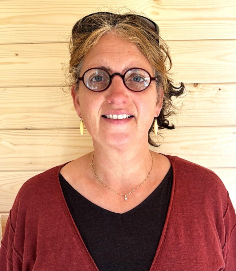 Sjenet van der Plas, Systemisch coach